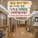 광교 유아 영어, 왜 어떤 곳은 정원을 4명으로 제한할까요?(소수정예 수업이 중요한 진짜 이유)