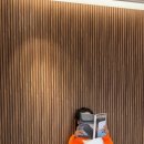 테라머뭄 이미지