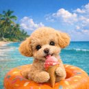 이솜 동물병원 이미지