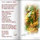 노란열매 이미지