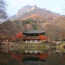 단풍스테이 이미지