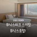 휘닉스호텔 | 평창 휘닉스파크 호텔 후기 수페리어 더블룸 리조트