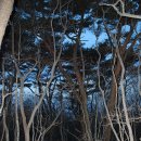 영분농장 | 너무나 아름다웠던 남도의 봄빛.. 거제 망치고개-노자산전망대-가라산-저구마을 산행기록