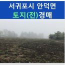 토지민속촌 이미지