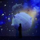 명동미디어 | [서울 전시]어린왕자의 별 이야기, 그라운드시소 명동 미디어 전시 후기: 애정하는 나의 어린왕자🌹🦊🐍