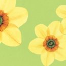 1004플라워 이미지