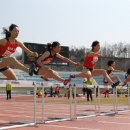 예천군 '전국대학육상경기선수권대회(17일~20일:4일간)' 개최 준비 한창... 이미지