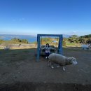 최고다목장 이미지