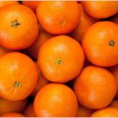 필라테스 귤 이미지