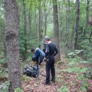 야로초등학교 이미지