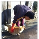 우리동네개냥이 티스토리