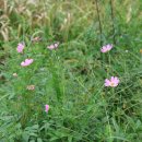 비점오염저감시설화장실 이미지