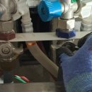 배곧다인로얄팰리스7차(배곧로얄팰리스7차) 이미지