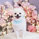 그루밍샵 0105 이미지