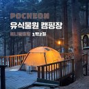 (유)플러스주유소 | [포천: 겨울] 유식물원캠핑장 미니멀캠핑 ①편 (V데크 후기, 포천 노지느낌 애견동반 캠핑장)