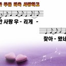 (주)우리사랑 Daum카페