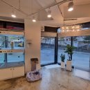 행복을줄개 이미지