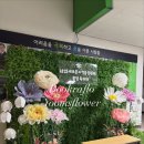 화홍플라워