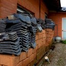 비안단테 이미지