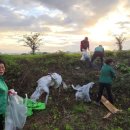 금호강변 이미지