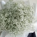 진도꽃집 이미지