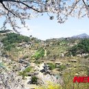 (주)청풍 이미지