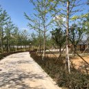빈정내사거리경명공원 | [인천시] 연희동 GB 훼손지 ▶ 2만4천㎡ 경명공원 으로 탈바꿈~!
