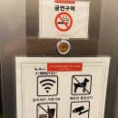리뉴얼 오픈한 구봉산 전망 No.1 카페 투썸플레이스 춘천 구봉산점 후기