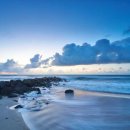 진수농장 이미지