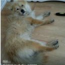 지하102호 이미지