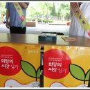 천주교대전교구둔산동성당 이미지