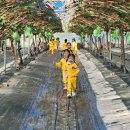 코코농원 이미지