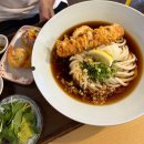 도도한고양이 | [성수 맛집/내돈내산] 쫄깃한 자가제면 우동의 정석 &#39;도도한면&#39; 후기