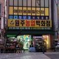 다유 펫 이미지