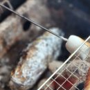 하나위 앞 | 왕송호수 캠핑장 글램핑 솔직 후기