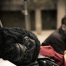 콜라보이스 카카오 검색결과