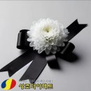 상조다이렉트