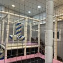 레스트풀76 키즈풀빌라펜션 이미지