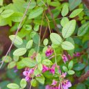 장산억새밭 이미지