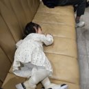 셀피스트 | 인천 쉐라톤 부페 피스트 디너 후기 : 대게, 스테이크 퀄리티 최고! 가족 모임으로 추천해요🍽️