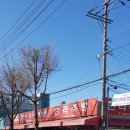 한라중고시장