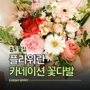 인천꽃집 | 인천 송도 꽃집 카네이션 후기 플라워란 세련된 가성비 어버이날 스승의날 꽃다발 픽업 추천