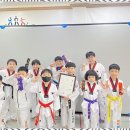 아이베스트 태권도 이미지