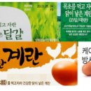 닭팔자