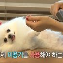 순심이