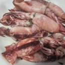 충효막걸리 네이버블로그