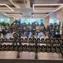 라인짐(LINE GYM) 이미지