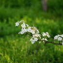 신암초등학교 이미지