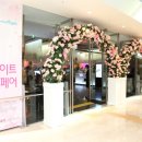 삼성딜라이트 파이낸셜뉴스