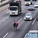 강변북로 이미지